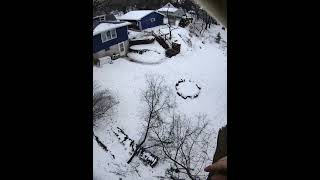 LEANING TREE HOME PROJECT #management #tree #land #skill #tool #power #tech #learn #diy #tip #trick
