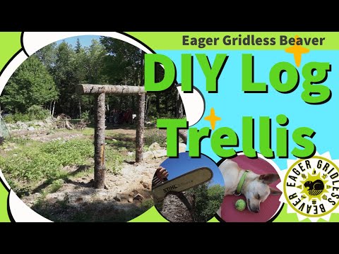 DIY Log Trellis