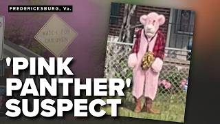 Police search for 'Pink Panther' suspect seen following children near bus stop