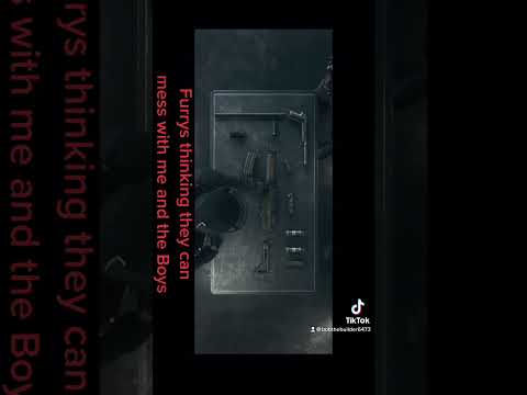 Furrys trying the Boys