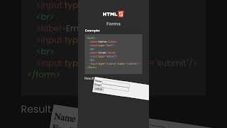 HTML Forms: The Basics Explained