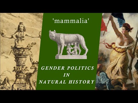 Why We Are Mammals (History of Taxonomy)