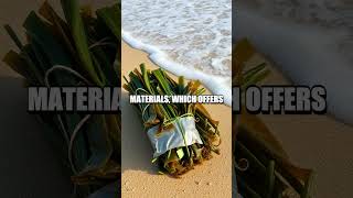 The Future of Eco-Friendly Packaging Innovations