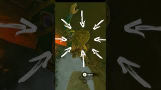 How to get men Gerudo Armor TOTK #totktips #legendofzeldatearsofthekingdom #trickandtips