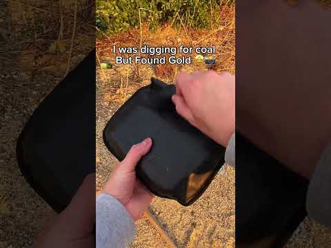 I wasn’t expecting to find treasure… #camera #retrocamera #vintage