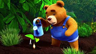 Learn How Plants Grow - From Seed to Tree
