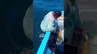 Fisherman’s Genius Fish Trick 🤯 #FishingHack #SmartMove #OceanLife #CatchOfTheDay #iq200