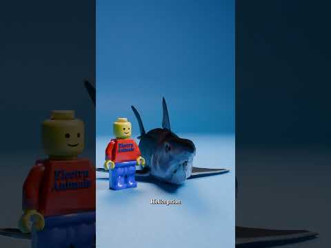 Hallucigenia vs Mosasaurus