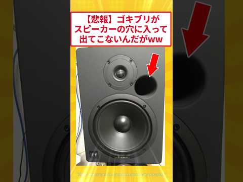 [The despair at the end lol] A cockroach went into the speaker hole and won't come out... #2ch fu...