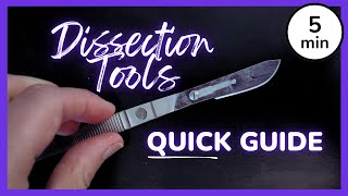 Dissection Tools: Names and Uses