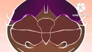 Out Of Luck Daisy Java Jitters in G Major 494