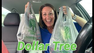 DOLLAR TREE HAUL | Incredible ✨NEW✨Items!