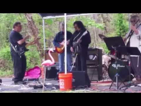 Jammin guitars 2016 Dale & Anna's