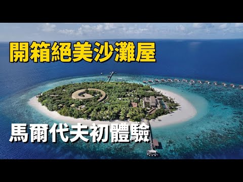 出門便能看見小鯊魚｜開箱絕美沙灘屋｜沙灘上海鮮燒烤｜如何在馬爾代夫的小島渡過一週（上）