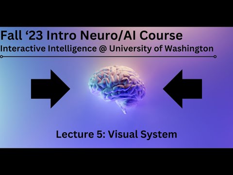 FALL '23 INTRO COURSE - Lecture 5: Visual System