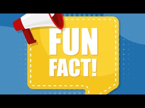 Top Fun facts about body Trends This Year / Fun facts about human body