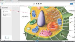 ConceptBoard for Tutors SD 1