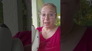 Pied Ball Python (Female)