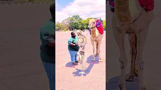 funny robot #shorts #viralshorts