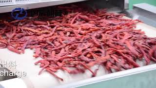 Multi-functional microwave pepper drying equipment vegetable dryer#microwavedryer#dryingequipment#