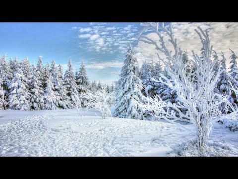 Frozen