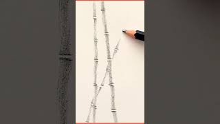 Drawing simple bamboo tree with pencil.
