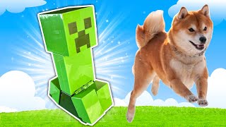 EXPLODING CREEPER!!! (doge dies)