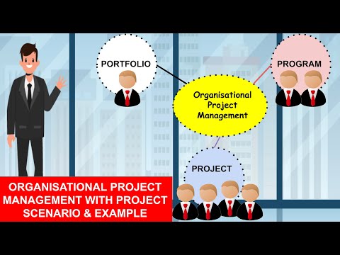 Organizational Project Management : Portfolio, Program and Project |PMP| Project Management