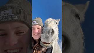 2025 what a year you were🤍 #2025 #2025wrapped #equestrian #shorts