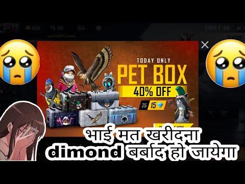 pet box offer 40%  || how to free pet box  ||| pet box offer 40% bed luck