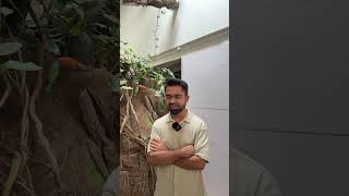 ❓ Hot take on Developer Relations?