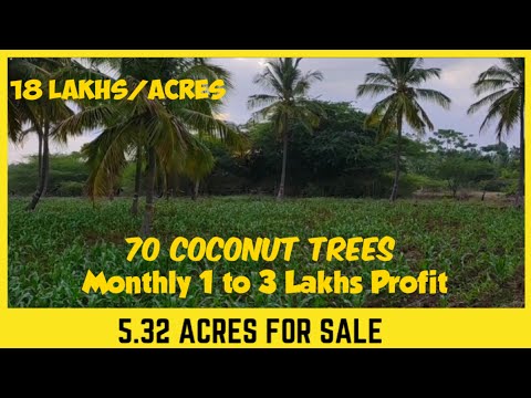 5.32 Acres For Sale In Santhemarali | 1-3 Lakhs Monthly Income | Properties In Mysore And Bangalore