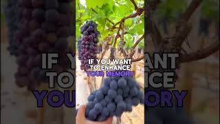 🍇Unlock the Powerful Health Benefits of Grapes#shorts