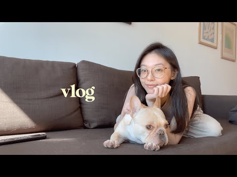 daily life in nyc ☕🗽 | dog sitting for the week, 100K subs!, summer haul unboxing
