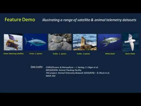 COVERAGE Web-Visualization Demo - New User Interface