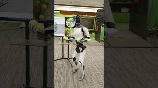 Tesla Robot Breaks a TV
