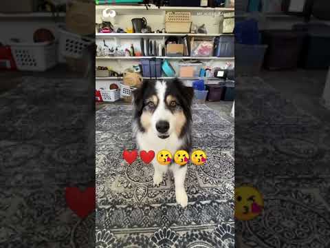 #cute#love