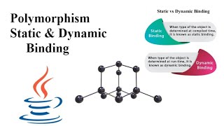 Polymorphism,  Static & Dynamic Binding