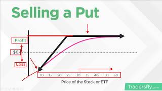 | 2020 | BASICS OF OPTIONS TRADING (FOR BEGINNERS)