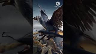 Animal_as_Eagle+Snake_#animals #eagle #snake #aimaster
