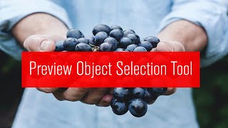 Object selection tool hover to preview