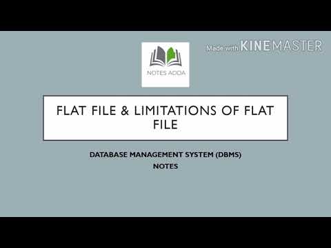 flat file in DBMS