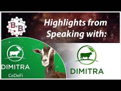 Dimitra Interview Highlight