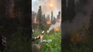 Why Firefighters Burn Grass Before Fighting Fire #short #fact #quickfacts #quickmind