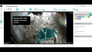 TrainingData.io: Make a new Polygon