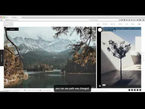 Change Portfolio Paths