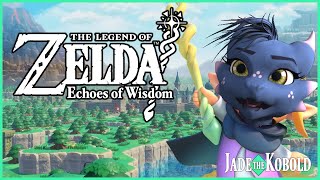【Echoes of Wisdom】 The chill of the cold  ( 🗡️33✨)
