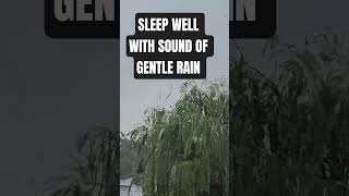 Nice Heavy Rain on Window #rainonwindow  #rainsounds #sleepsolution #heavyraining #raindrops #chuva