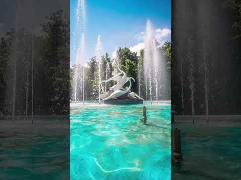 Fountain. Фонтан у Стрийському парку у різні дні. Мої старі фотографії #фонтан #fountain #city #lviv