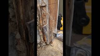 Rotten Wood Repair